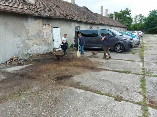 cistenie aralu_5c234292-76a3-485d-bd0a-57cf0319df52.jpeg