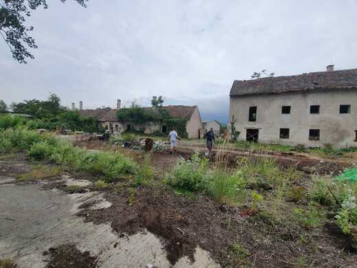 cistenie nadvoria38635d26-8a59-46d5-ac9f-e1e1ce986d62.jpeg