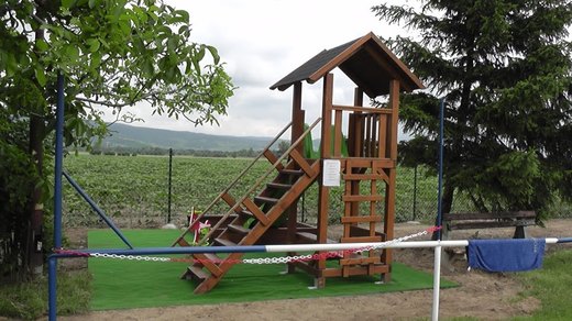 S2010169.JPG
