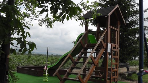 S2010170.JPG